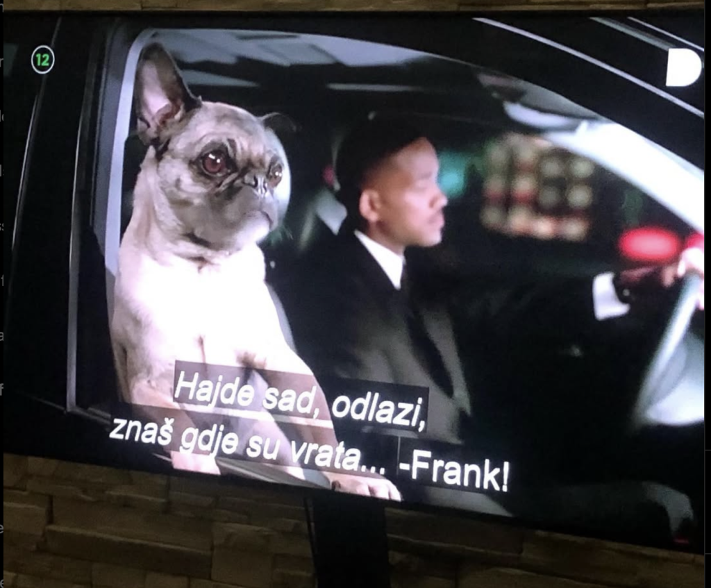 Mops Frank bio je totalno otkriće, bila je to ljubav na prvi pogled (Foto: Screenshot)