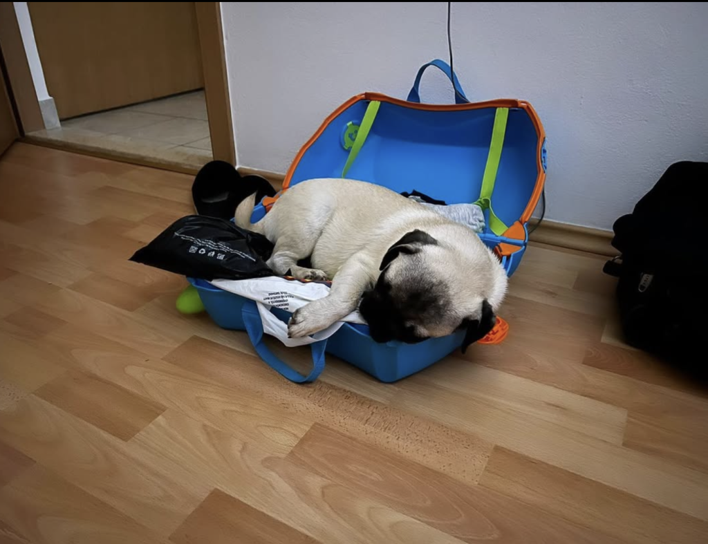 Dan ljubimaca je tvoj dan - sretan ti!