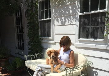Anna Wintour je 37 godina bila urednica američkog izdanja časopisa Vogue (Foto: beecarrozzini IG)