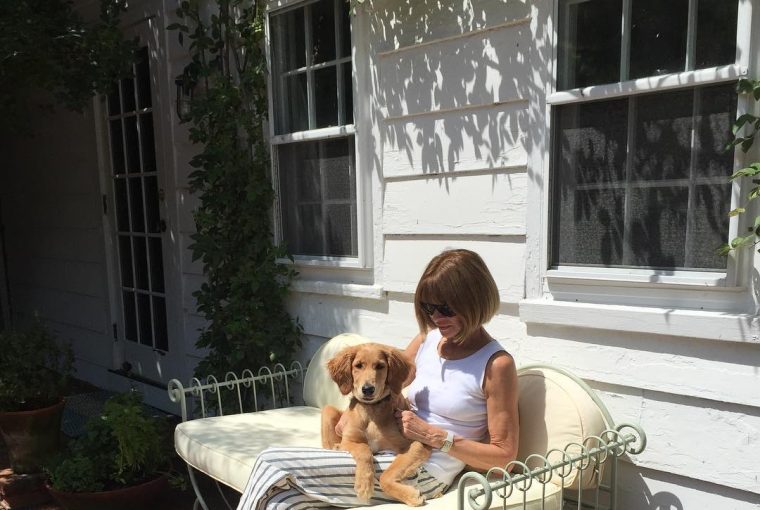 Anna Wintour je 37 godina bila urednica američkog izdanja časopisa Vogue (Foto: beecarrozzini IG)